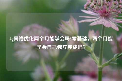 4g网络优化两个月能学会吗?零基础，两个月能学会自己独立完成吗？